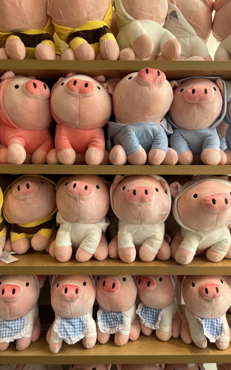 Miniso 1